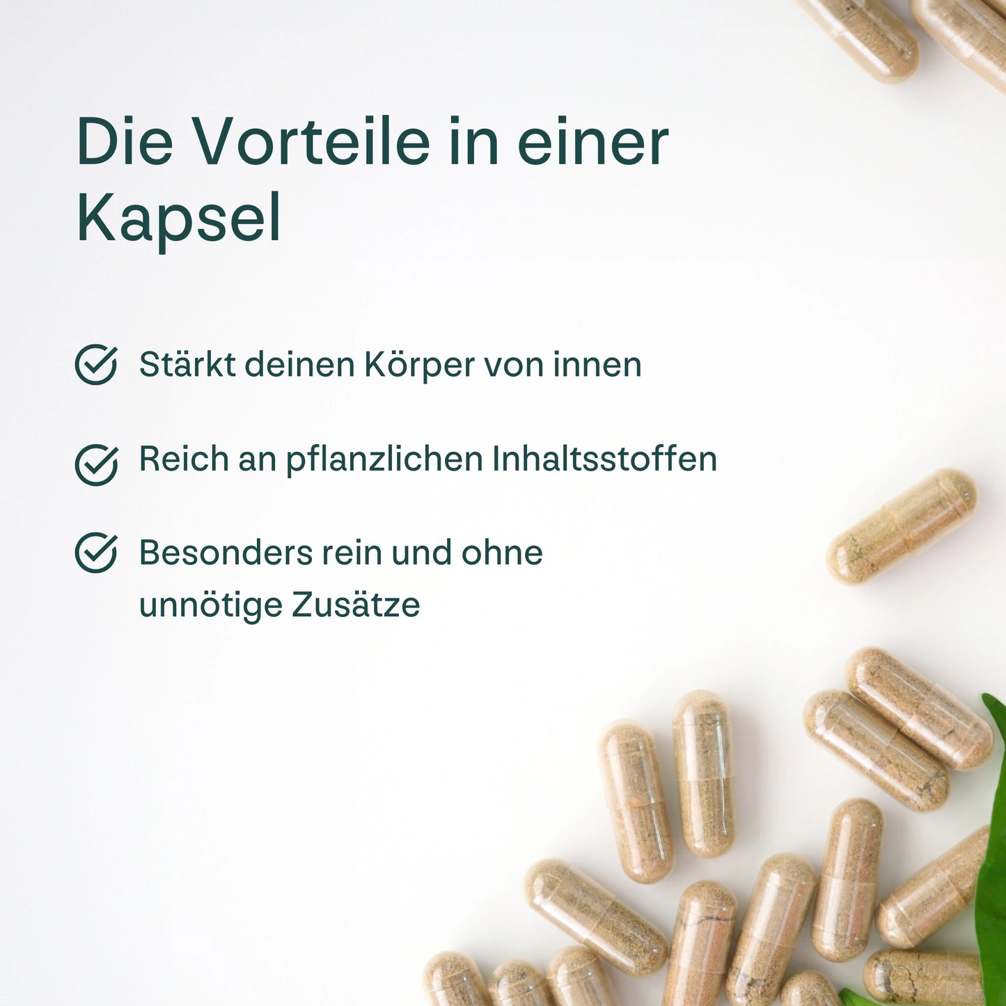 Propolis Immune Complex