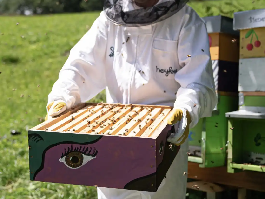 Gstaad Mountain Bee's: Auf Besuch bei einer Bergimkerin