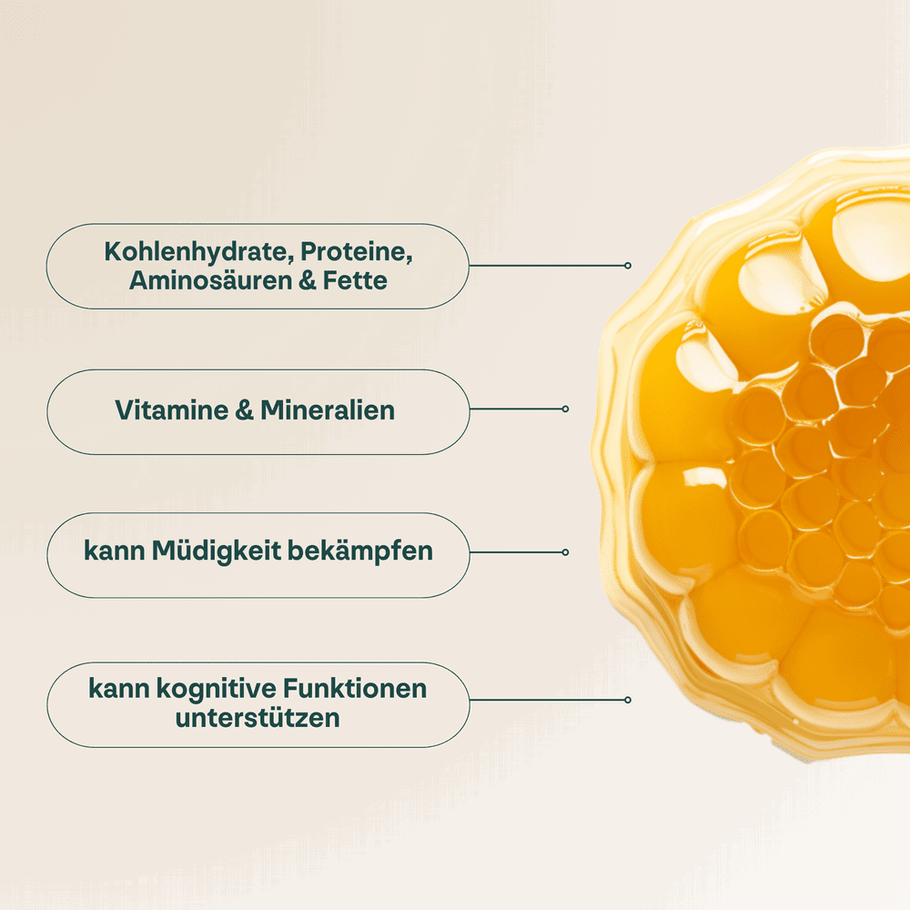 Busy Bee Bundle - heybee